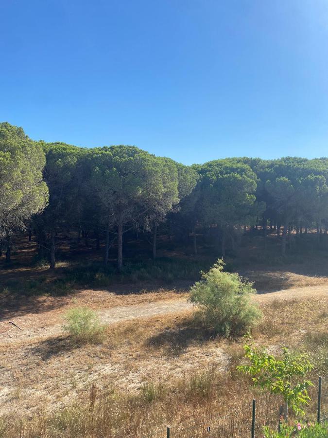 Studio Cabine Mer Et Pinede 26M2: 4Pers, Neuf, Cosy La Grande Motte Bagian luar foto